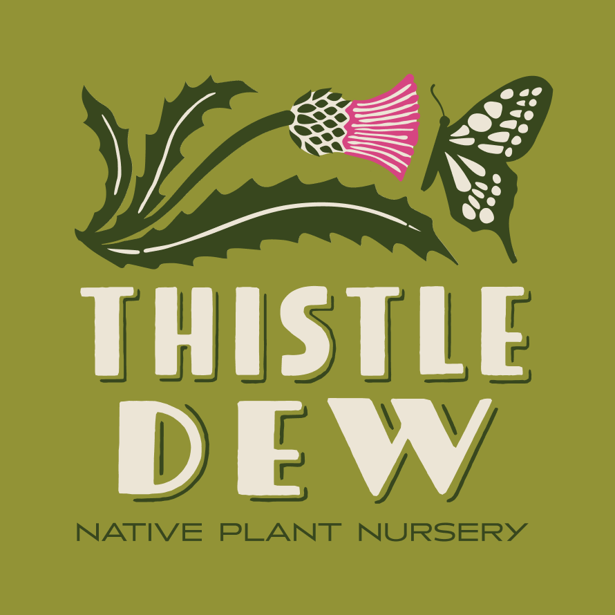 Thistle Dew Native Plant Nursery logo