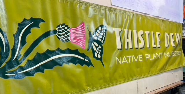Thistle Dew Native Plant Nursery commercial banner